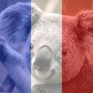 Meet your Posher, Candace